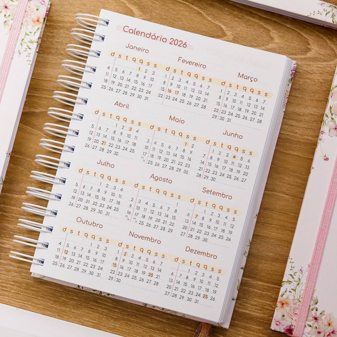 Agenda de Agendamentos 2026 Comercial - Com Horários (Personalizada) - Image 3